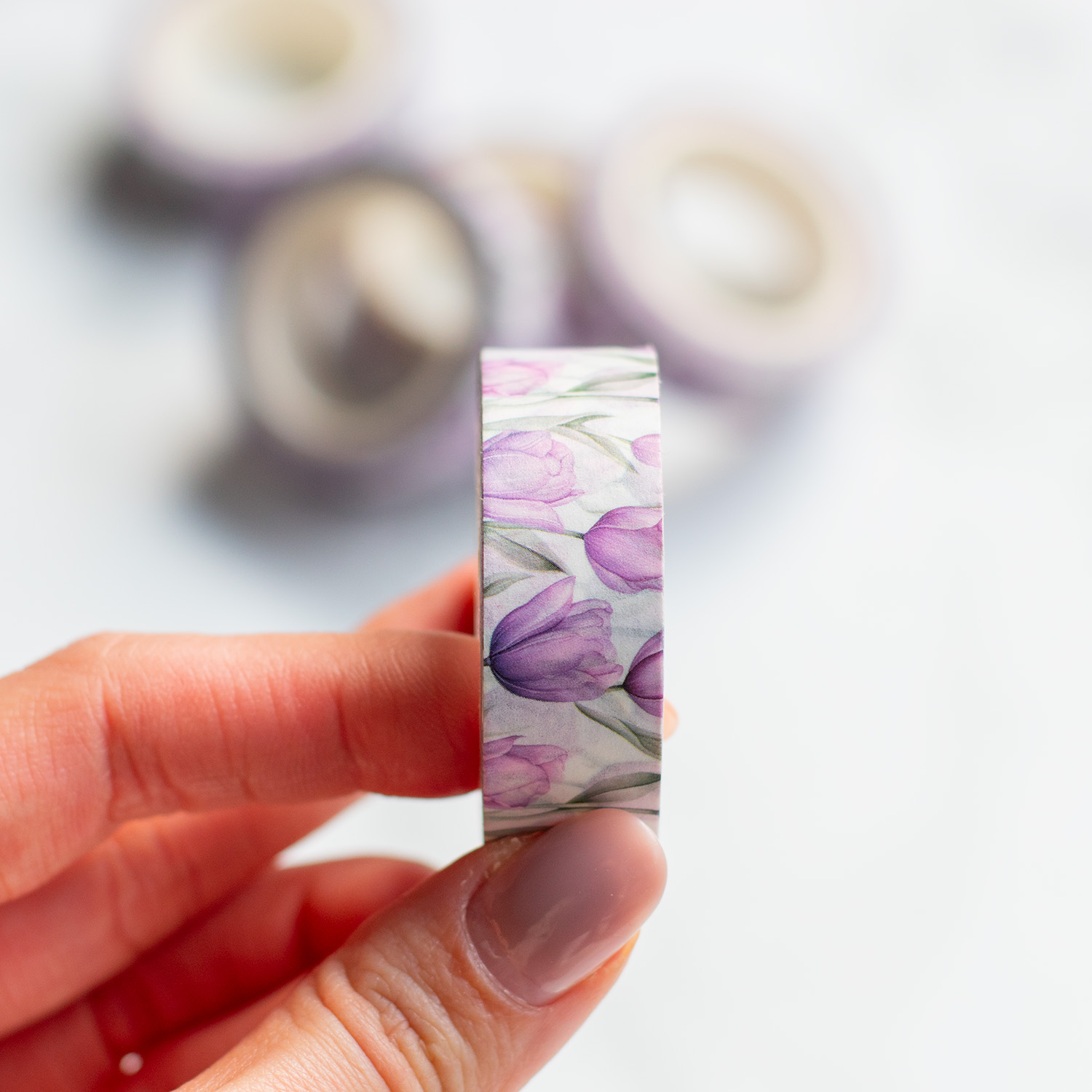 tulipány paska tulips